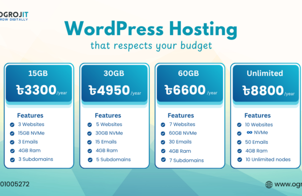 wordpress Hosting wordpress Hosting